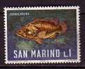 Y7202 - SAN MARINO Ss N°721 - SAINT-MARIN Yv N°676 ** POISSONS - Ungebraucht