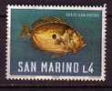 Y7205 - SAN MARINO Ss N°724 - SAINT-MARIN Yv N°679 ** POISSONS - Neufs