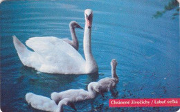 Télécarte à Puce SLOVAQUIE - ANIMAL - OISEAU CYGNE & Cygneaux - SWAN BIRD SLOVAKIA Chip Phonecard SCHWAN Vogel / BE - Slovakia