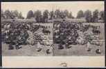 CARTES STEREOSCOPIQUES - Champs De Bataille Avec Des Canons - Stereoscope Cards