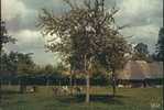 Ferme Normande. - Farms