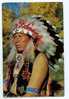 004976  -  Indian In Full Dress - Native Americans