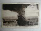 Delcampe - LE CAP FREHEL - Toul An Ifern Ou Trou De L´enfer - Une Des Grottes Les Plus Curieuses - Cap Frehel