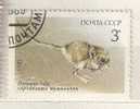 URSS/USSR , Russie , 1985 ,3 K ,  Rongeur Souris , Campagnole ? ; Obl ,TB - Nager