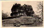 INCHMAHOME PRIORY "Queen Mary's Bower" REAL PHOTO PCd. PERTHSHIRE - Scotland - Perthshire