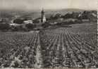 Chiroubles - Vue Generale - Chiroubles