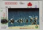 Egret Bird Inhabit,China 2009 Lishui City Loving Heart Help Schooling Advertising Pre-stamped Card - Cigognes & échassiers