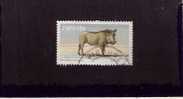 South West Africa - Warthog - Scott # 557 - Namibie (1990- ...)