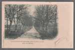 C - CARTE POSTALE - 42 - ST DENIS DE CABANES - ALLEE DE GATELIER - - Charlieu