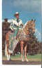 CPM 9X14  . COW BOY . ART MILLER Sur Peavines Golden Major. Greetings From ELLENSBURGH (Washington) - Acteurs