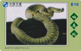 Télécarte Chine - ANIMAL - SERPENT - SNAKE Phonecard / China Satcom 4-2 - SCHLANGE Telefonkarte - 43 - Cina