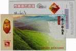 Green Tea Mountain,China 2008 Xinchang New Year Greeting Advertising Pre-stamped Card - Autres & Non Classés