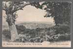 C - CARTE POSTALE - 42 - MONT PILAT - VUE SUR PELUSSIN - - Mont Pilat