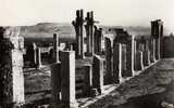 TEBESSA Ruines De La Basilique La Nef - Tébessa