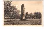 35 DOL (environs)  *  Pierre Du Camp Dolent, Magnifique Menhir Fusiforme De 8,70m De Tour Et 9.3 Haut * Belle CPA - Dolmen & Menhirs