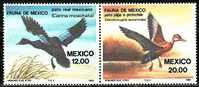 Bird ( Oiseau, Vogel ) Mexico Sc1347a Duck - Ducks