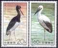Bird ( Oiseau, Vogel ) China Sc2380-1 Stork - Picotenazas & Aves Zancudas