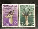 SOMALIA - 1960 FAUNA - GAZELLES - POSTA AERIENS - Yvert # A1-A2 - MINT (NH) At Back A. BOLAFFI Guarantee Cancel - Somalia (1960-...)