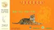 Tiger Rare Animal   , Prepaid Card    , Postal Stationery - Rinocerontes