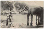 CPA COLOMBO - ELEPHANT AU BAIN - Elefanti