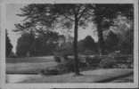 59.TOURCOING.  JARDIN PUBLIC. Carte Sepia. - Tourcoing