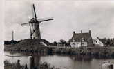 Damme De Molen - Damme