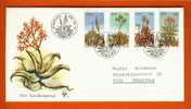 SWA 1981 FDC 33 Aloes With Address - Cactusses