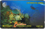 Cayman Islands, CAY-5A, Diver In Reef , Fish. - Cayman Islands