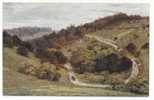 Zig Zag Road, Boxhill. From An Original Water Colour Drawing By A.R. Quinton. Cachets Postaux: Leatherhead Et Péruwelz. - Surrey