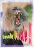 Humour Singe "Grande Gueule !" Carte BE - Singes