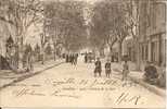 CPA De CAVAILLON - Avenue De La Gare (1903). - Cavaillon