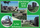 Carte Postale 94. Fontenay-sous-Bois  Trés Beau Plan - Fontenay Sous Bois