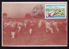 Agriculture Farm Farming COWS MAXICARD 1986  Romania - Vacas