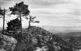 LA GARDE-FREINET   -  Perspective Sur La Chaine Des Alpes Vue De La Croix   -    VG 1962   -  (223) - La Garde Freinet