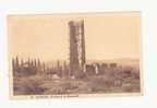 ALGERIE : TLEMCEN.- Le Minaret De Mansourah.- N° 27.-(2) - Tlemcen