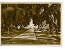 SICILIA Acireale (Catania) Belvedere 1942 Viaggiata Foto - Acireale