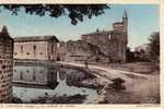 PELUSSIN  ( LOIRE)   Le Chateau De  Virieux - Pelussin