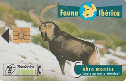 TC Puce Espagne Série Fauna Ibérica - ANIMAL - BOUQUETIN - Mountain Goat Chip Spain Phonecard - Basisausgaben