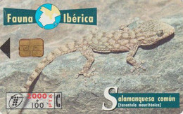 TC Puce Espagne Série  Fauna Ibérica - ANIMAL - LEZARD Gecko - Spain Chip Phonecard - Emissions Basiques