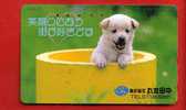 Japan Japon  Telefonkarte Phonecard -  Hund Chien Dog - Dogs
