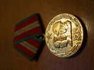 MEDALLA  RUSIA (MILITAR)   "70 Aniversario De Las Fuerzas Armadas Sovieticas"   DL-6927 - Sonstige & Ohne Zuordnung