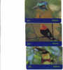 Brasil-aves Do Brasil(set 3 Brids)-used Card-1/1999+1 Card Prepiad Free - Perroquets