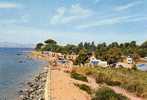 83 LA LONDE LES MAURES Camping Le Pansard - La Londe Les Maures