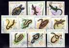 Rumania Num 2100 - 2109, Año 1965. Reptiles - Serpents