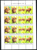 POLAND 1996 Michel No 3629 - 3632 Klbg MNH - Unused Stamps