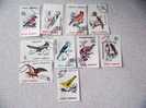 TIMBRES ROUMANIE OISEAUX - Used Stamps