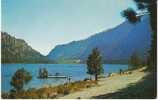 Alta Lake State Park, Okanogan County, Swimming Beach On 1960s Vintage Postcard - Other & Unclassified