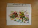 LOT 20  TIMBRES DIFFERENTS PERROQUETS GRANDS FORMATS - Papegaaien, Parkieten