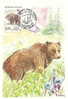 France Carte Maximum 14/9/91 Ours Des Pyrénées ,oso, Bear , Bar, - Ours