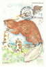 France Carte Maximum 14/9/91  Castor - Rodents